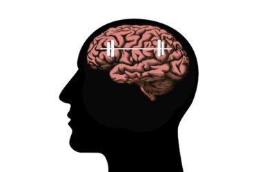 Neuroplasticity: Power a Better, Fitter, Smarter Brain