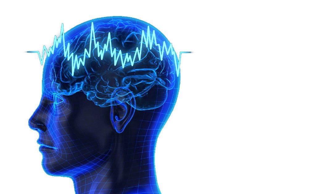 We are our brains: A Beginner’s Guide to Neuromodulation