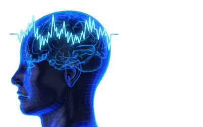 We are our brains: A Beginner’s Guide to Neuromodulation
